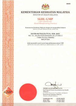 GMP 2019 - 2022 Certificate