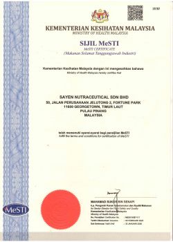 MeSTI 2023 - 2026 Certificate